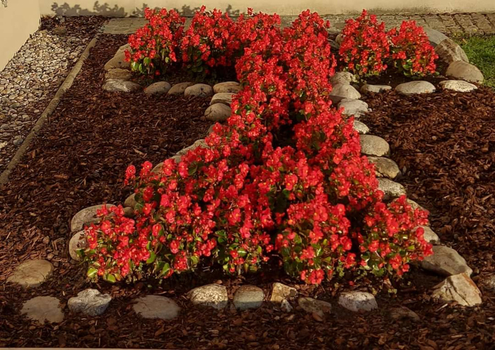 Tau-Kreuz aus Blumen in Enns-St. Marien